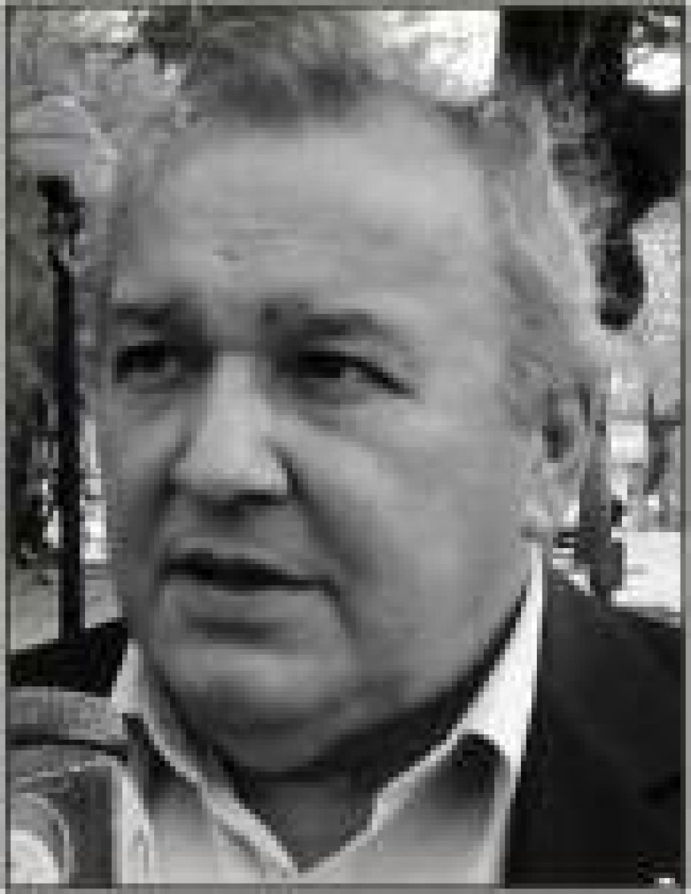 Partidos que integran el frente con la UCR �son viejos aliados en la historia pol�tica nacional�, afirm� Damiani