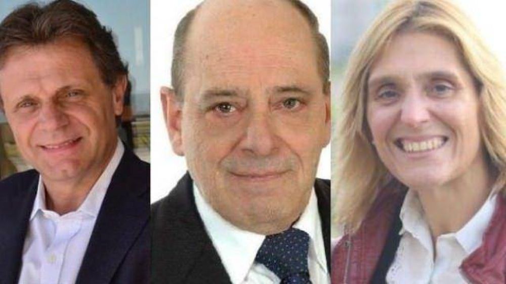 Pulti, el candidato m�s votado y Arroyo le gana la interna a Baragiola
