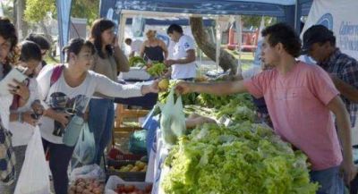 Productores motivados por las ventas millonarias en 6 meses