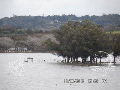 Secuelas del temporal en Laguna de los Padres