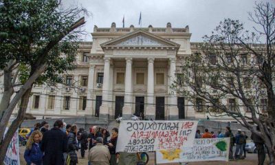 Celebran fallo de TJS que ratific� la constitucionalidad de ley que proh�be la miner�a a cielo abierto