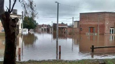 Alessandro: �Ya vendr�n los tiempos de hacer campa�a, hoy la urgencia es otra�