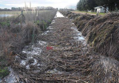 Denuncian que la falta de limpieza del Canal 17 ocasiona la falta de escurrimiento de las aguas
