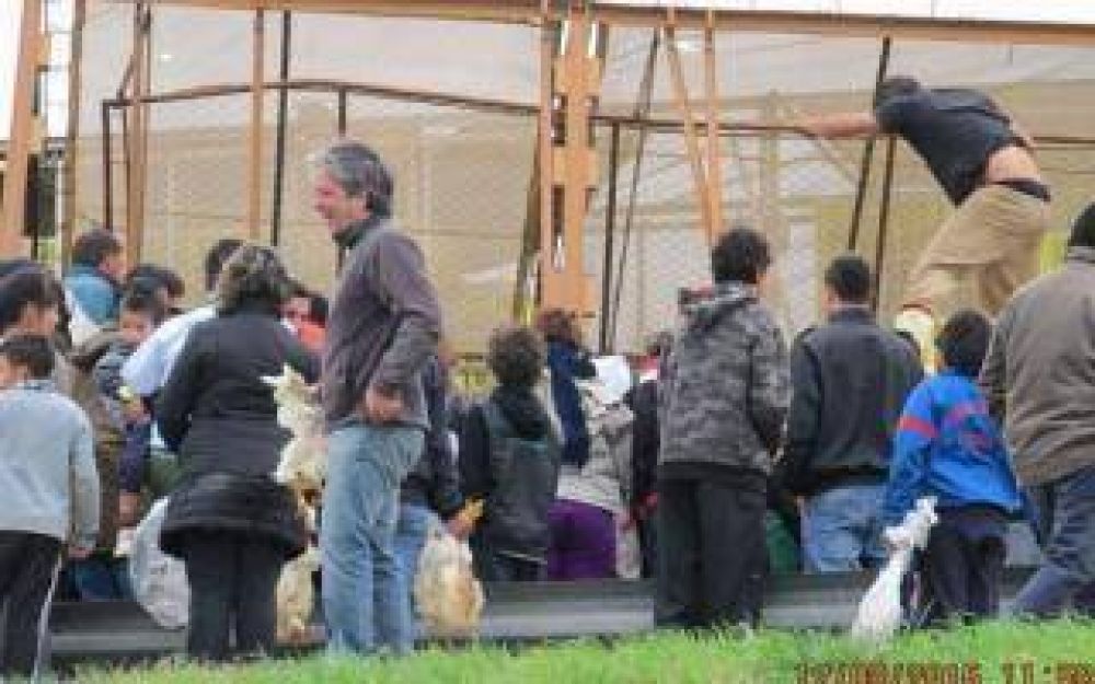 Volc� un cami�n que transportaba pollos en Luj�n
