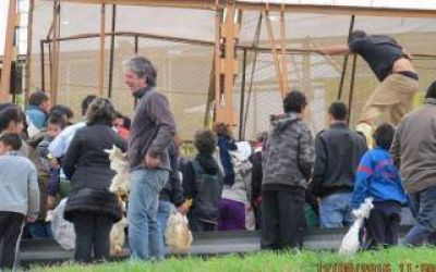 Volc� un cami�n que transportaba pollos en Luj�n