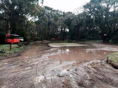 A d�as de inaugurarse la ChocoGesell, la comuna recuper� la entrada del Pinar que estaba inundada