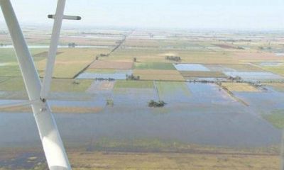 Lluvias provocan da�os millonarios en la producci�n rural de San Justo