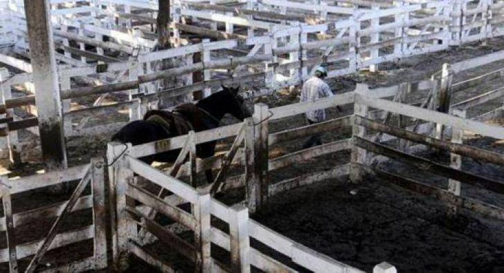 Productores rurales anunciaron un paro de cinco d�as para fin de mes