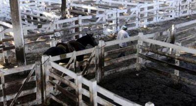 Productores rurales anunciaron un paro de cinco d�as para fin de mes