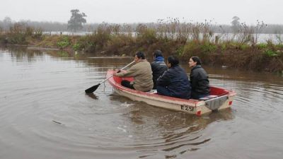 Crecen las picaduras de v�bora y hay temor a una crisis sanitaria