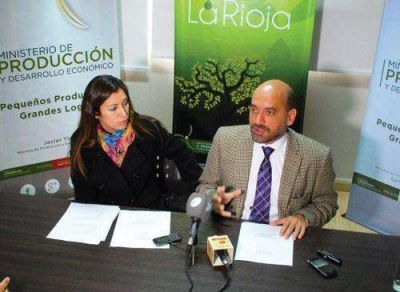 Avanza el Centro Tecnol�gico para afianzar la olivicultura