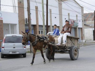 �El beneficio es para el caballo, el cartonero y para la ciudad�