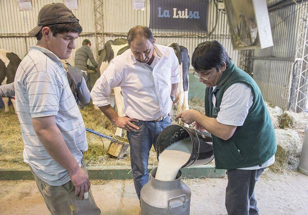 La Rural abre sus tranqueras para la edici�n 2015 de su cl�sica muestra
