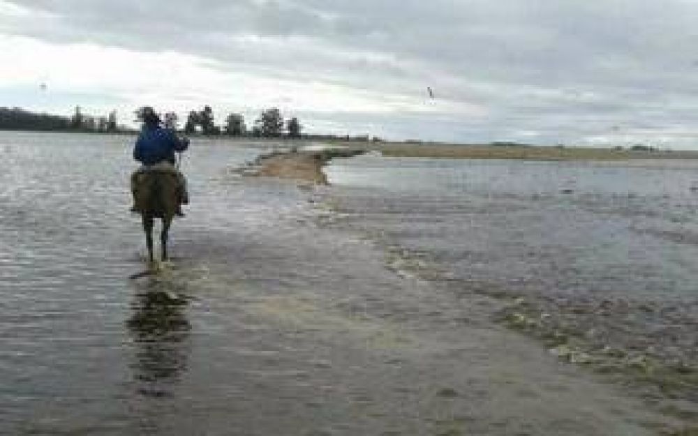 Temporal: Emergencia y desastre agropecuario en 66 municipios