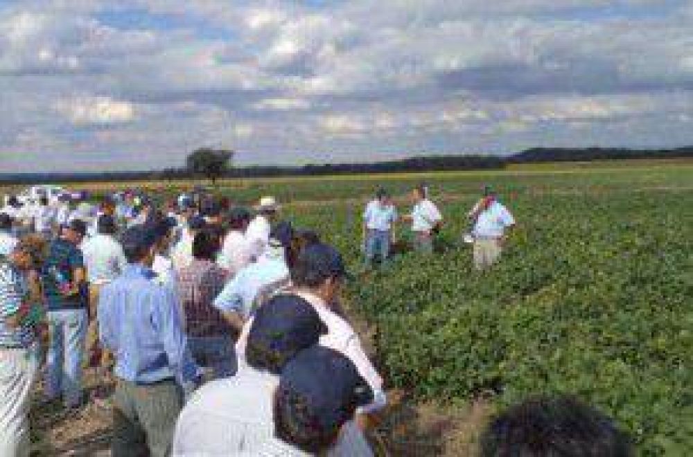 S�lo el 25% se anot� para el fondo a medianos productores