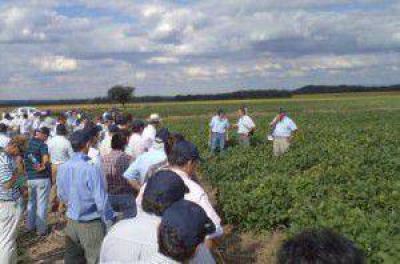 S�lo el 25% se anot� para el fondo a medianos productores