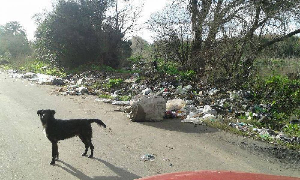 Tremendo: As� est� Hern�ndez, el basural a cielo abierto m�s grande de la regi�n