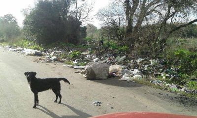 Tremendo: As� est� Hern�ndez, el basural a cielo abierto m�s grande de la regi�n