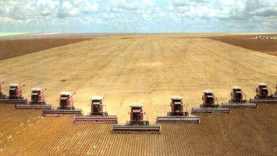 La soja generar�a menos del 10% de puestos laborales en Salta