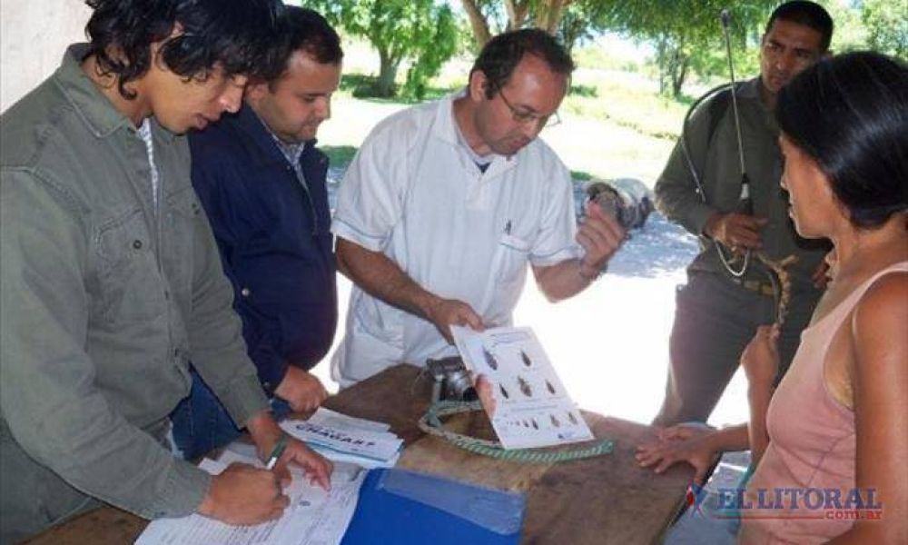 Chagas: realizarn testeos gratuitos en una semana dedicada a la prevencin