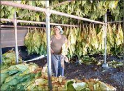 Caja Verde: el Gobierno provincial tramita un desembolso de 90 millones de pesos para septiembre
