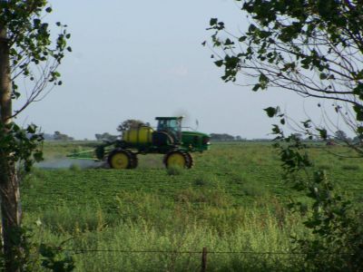 Agroqu�micos: Suprema Corte dio lugar a presentaci�n de Ingenieros