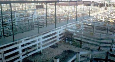 Adhesi�n total a huelga del campo en Corrientes