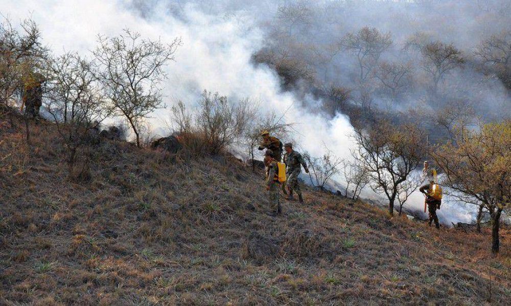 Por baja de la humedad y vientos, es �muy alto� el riesgo de incendio forestal