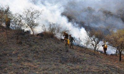 Por baja de la humedad y vientos, es �muy alto� el riesgo de incendio forestal