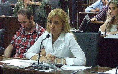 Storni tambi�n apunt� a �una campa�a m�s local�
