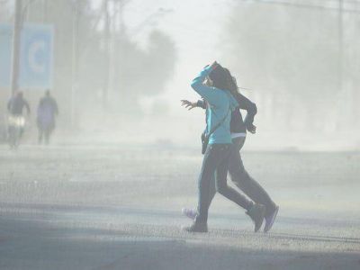 Viento Zonda: varios incendios en la provincia y un �rbol cay� sobre una casa
