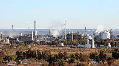 Promulgan la ley Feli� de un Registro Provincial de C�ncer