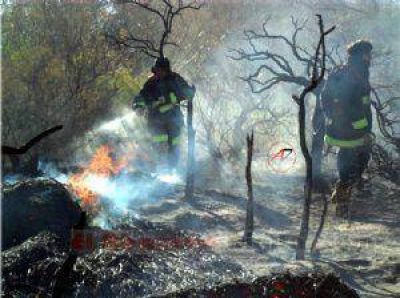 Casi dos hect�reas de vi�edos fueron consumidos por el fuego en Palo Blanco