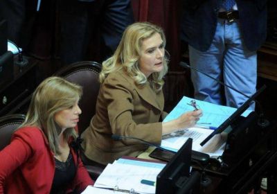 Rojk�s, Mansilla y El�as de P�rez cruzaron chicanas desde las bancas