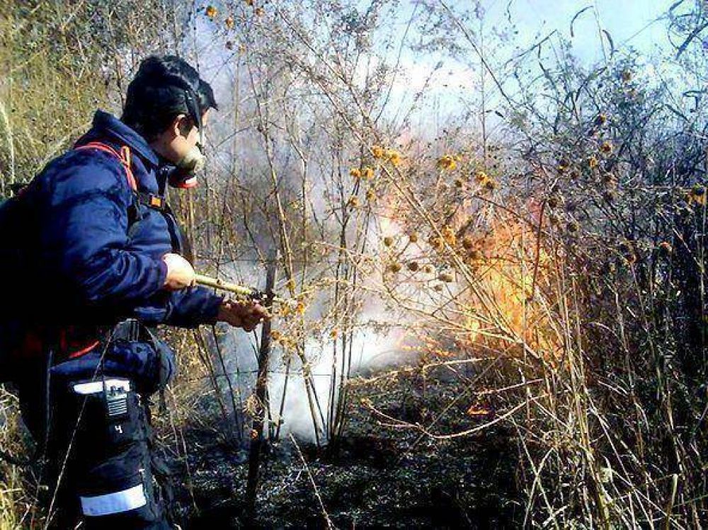 Sofocan principios de incendios en la ciudad