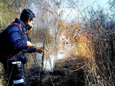 Sofocan principios de incendios en la ciudad