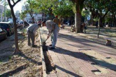 Proyecto para la reparaci�n de veredas en Santa Mar�a