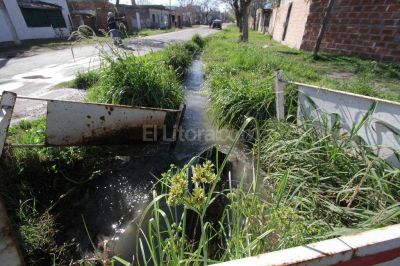 En barrio Alfonso conviven con una catarata cloacal