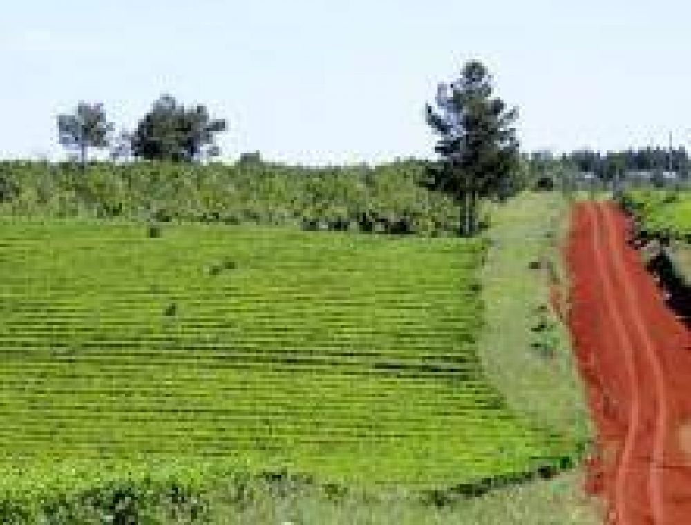 No hubo acuerdo y el Ministerio del Agro tendr� que definir el precio del t�
