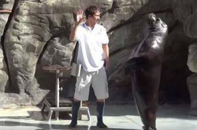 Protestar�n frente al zool�gico por la muerte de dos lobos marinos