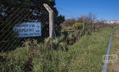 Reserva del Puerto: �Con el fallo de la Suprema Corte, no hay m�s excusas�
