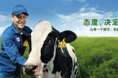 China busca convertirse en un gigante del mercado halal