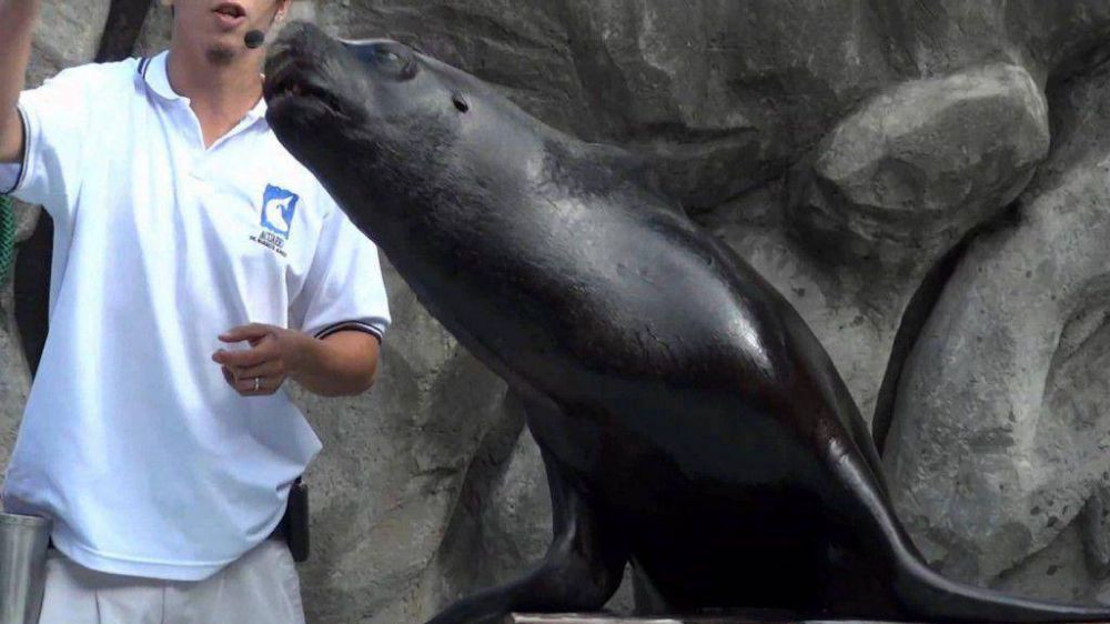 Piden transformar el Zoo porte�o en un centro de rehabilitaci�n de fauna