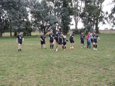 Nutrida actividad para el rugby, el v�ley y el b�squet municipal