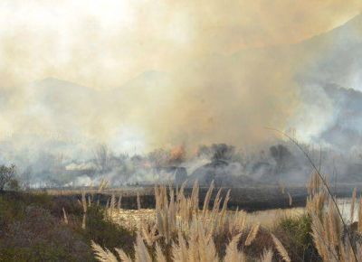 En agosto hubo 19 incendios forestales intencionales