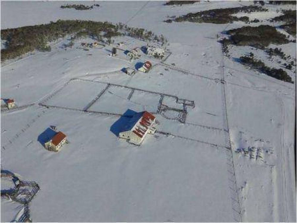 Gobierno decret� la Emergencia Agroganadera y Alerta Vial
