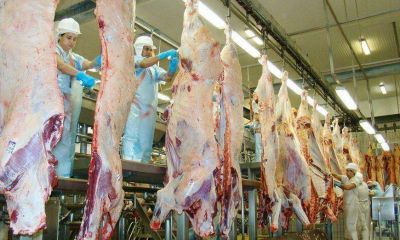 Córdoba matiene potencial para incrementar la ganadería y la industria frigorífica