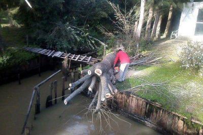 Trabajos en el Delta de Tigre