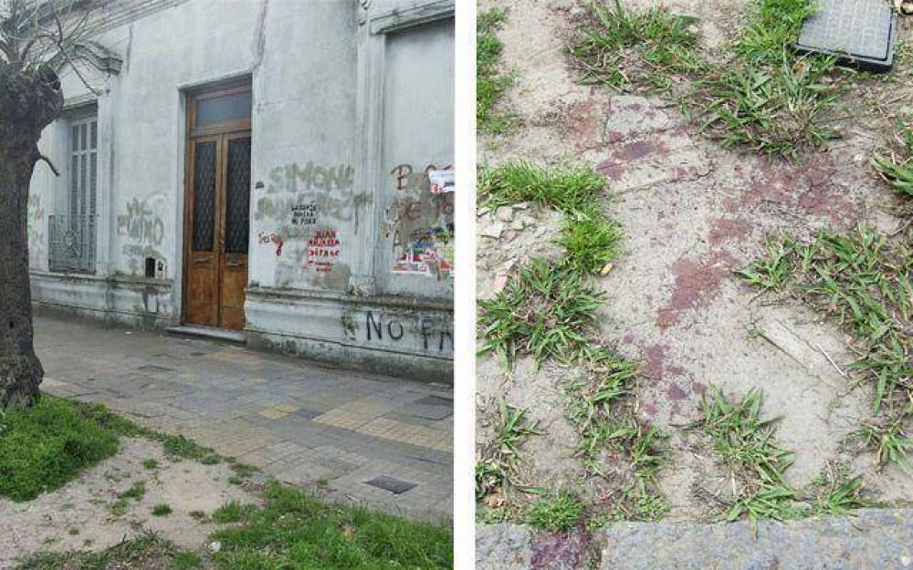 Lo degollaron en pleno centro de Lomas