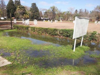 En el H�pico est�n hartos de un �lago cloacal�